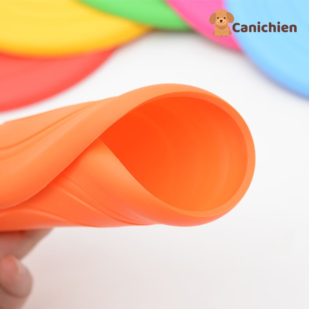 frisbee-chien-enrouler