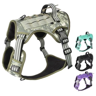 harnais-pour-chien-y-tactique-couleur