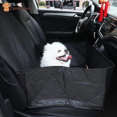siege-auto-chien
