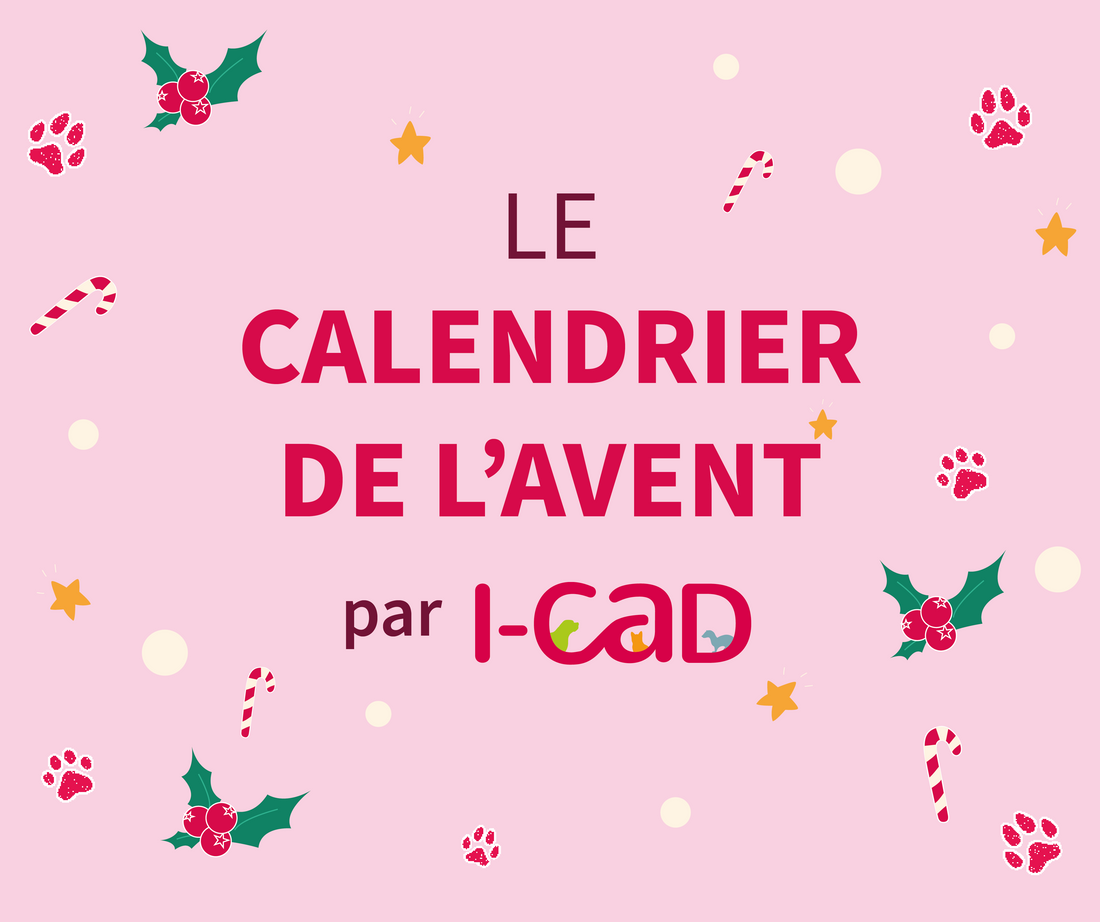 calendrier-icad