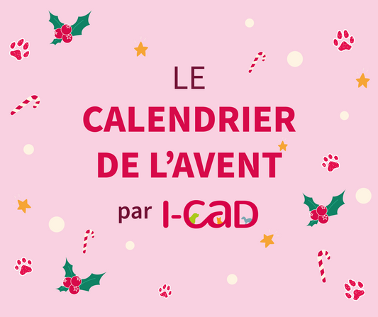 calendrier-icad
