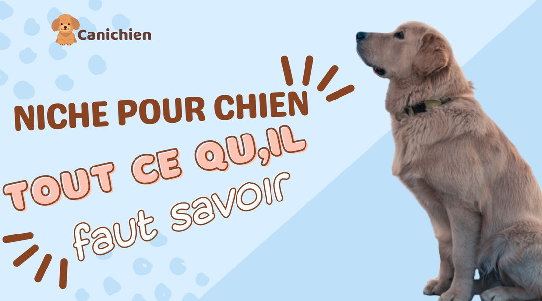 niche-pour-chien-conseil