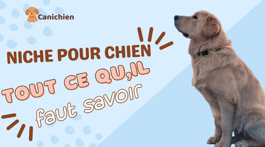 niche-pour-chien-conseil