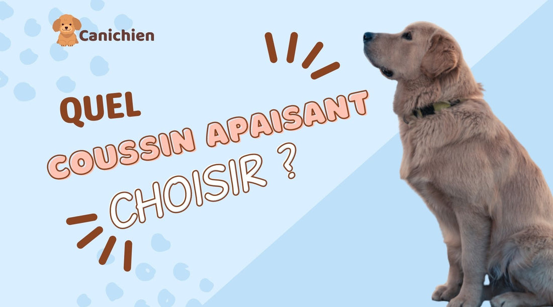 coussin-apaisant-chien-blog