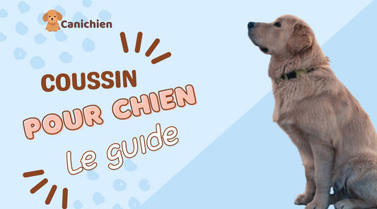 coussin-chien-le-guide