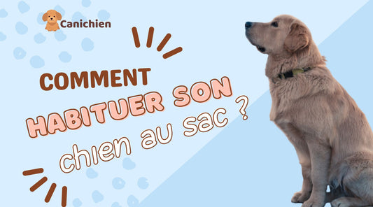 habituer-sac-de-transport-pour-chien