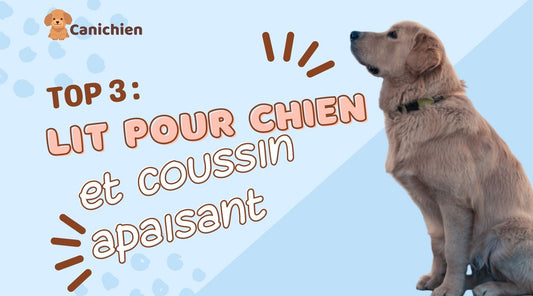 Top 3 : coussin pour chien apaisant !