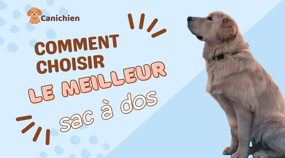 meilleur-sac-a-dos-chien