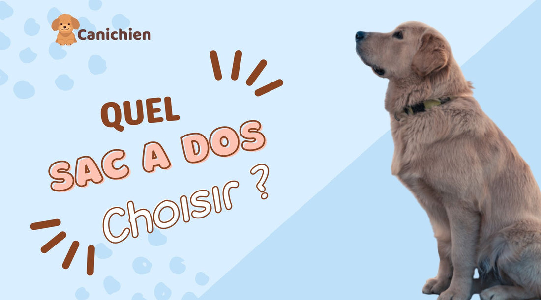 Quel sac a dos pour chien choisir ?