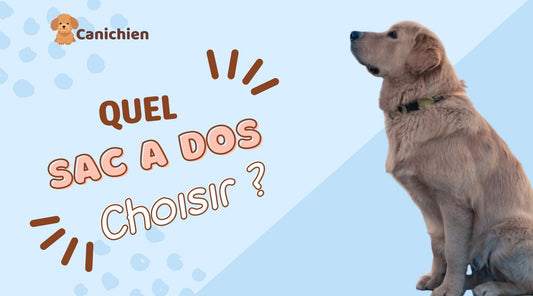 Quel sac a dos pour chien choisir ?