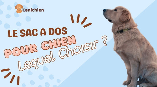 sac-a-dos-pour-chien-lequel-choisir