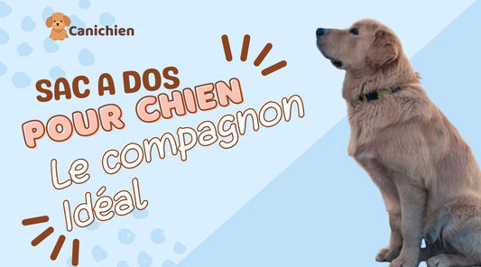 sac-a-dos-pour-chien-ideal