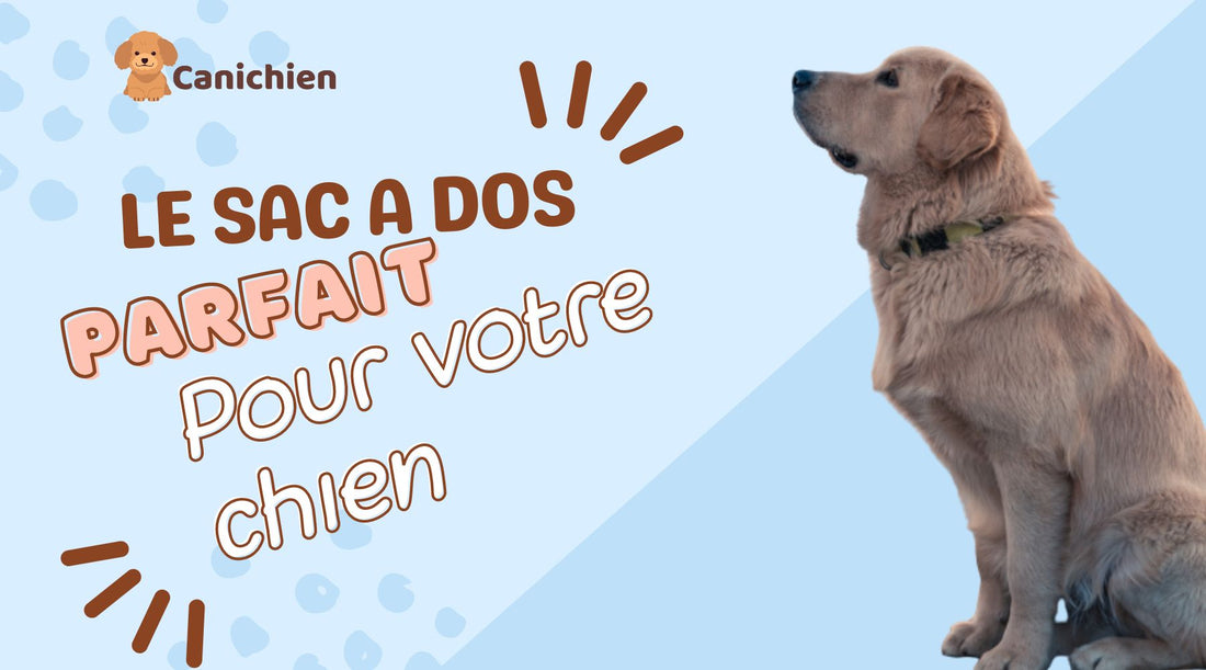 sac-a-dos-pour-chien-parfait