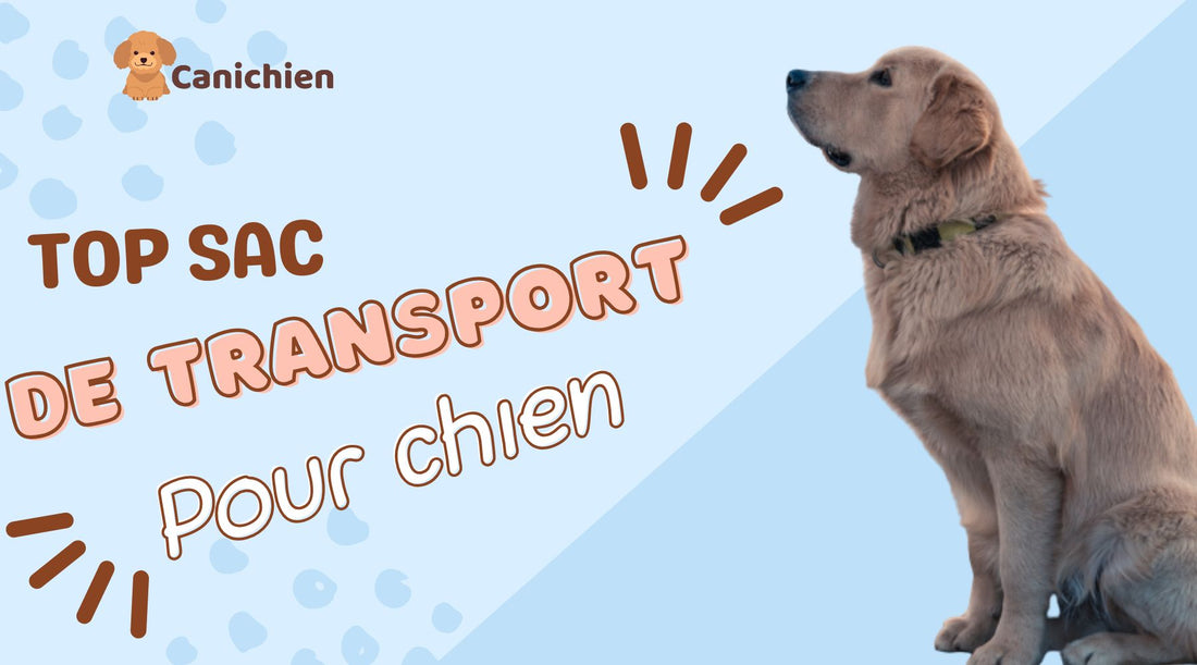 top-sac-de-transport-pour-chien