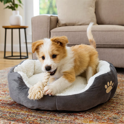 Coussin-chien-petit