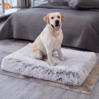 Tapis-pour-chien-gris-taille-XL
