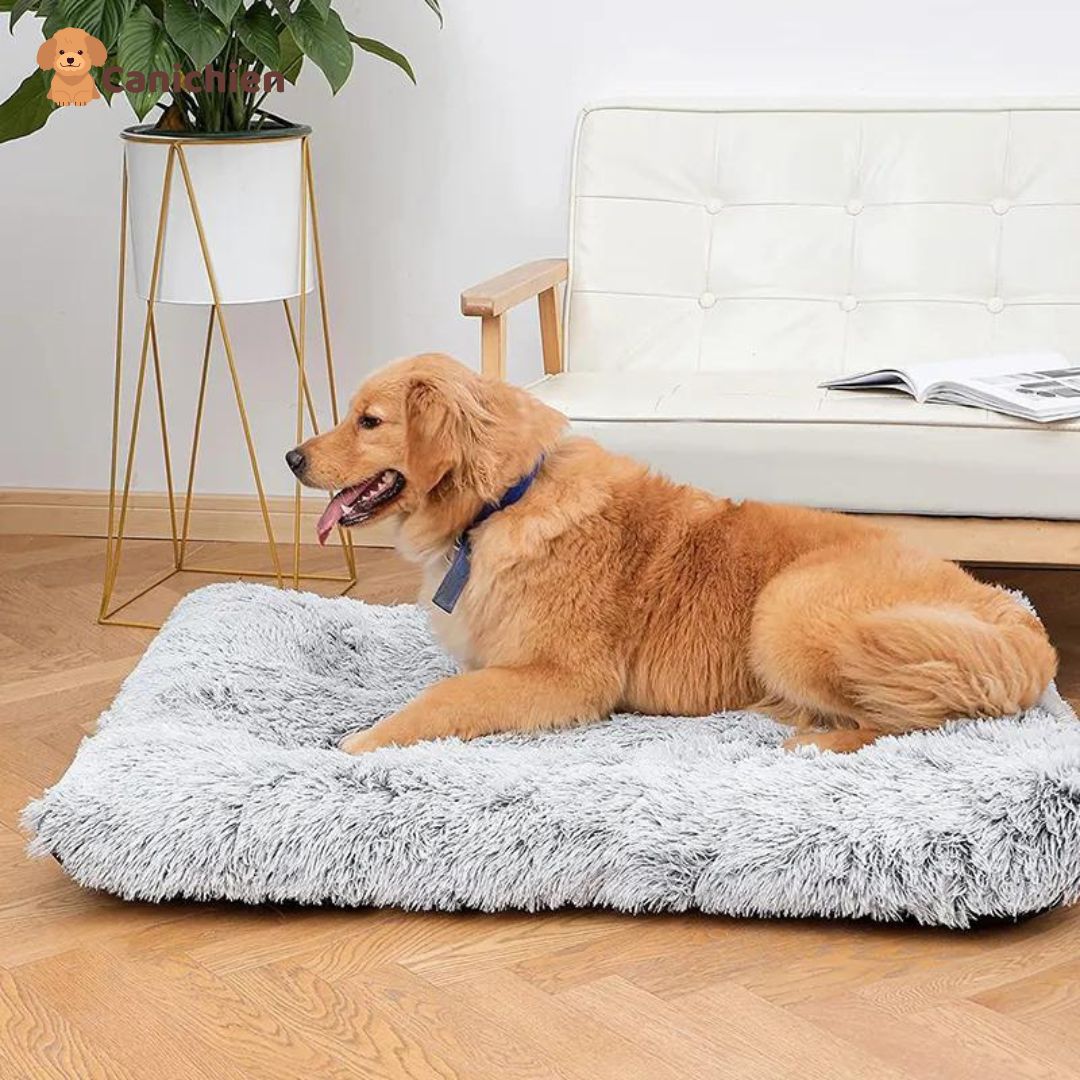 Tapis-pour-chien-gris-variante-XL