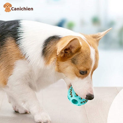 balle-pour-chien-bleu-ciel