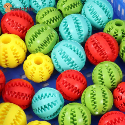 balle-pour-chien-couleur