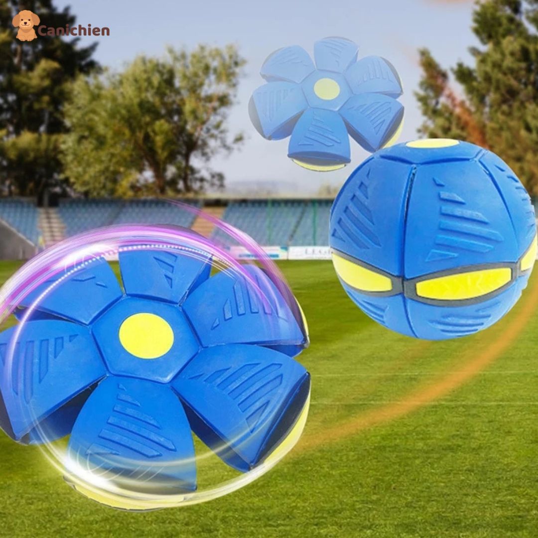 Balle pour chien | RelaxBall™