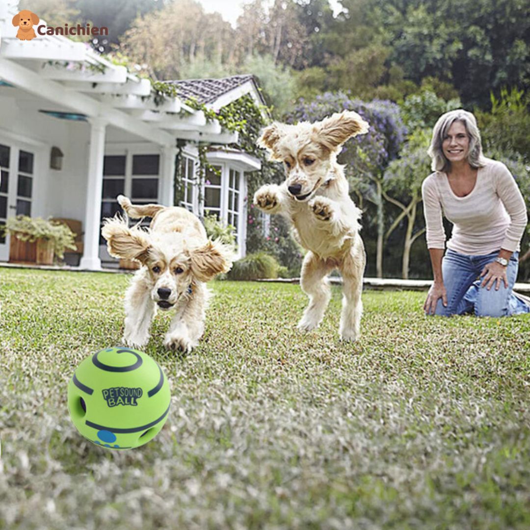 balle-pour-chien-exterieur