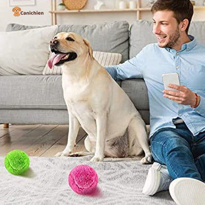 balle-pour-chien-rapprochement