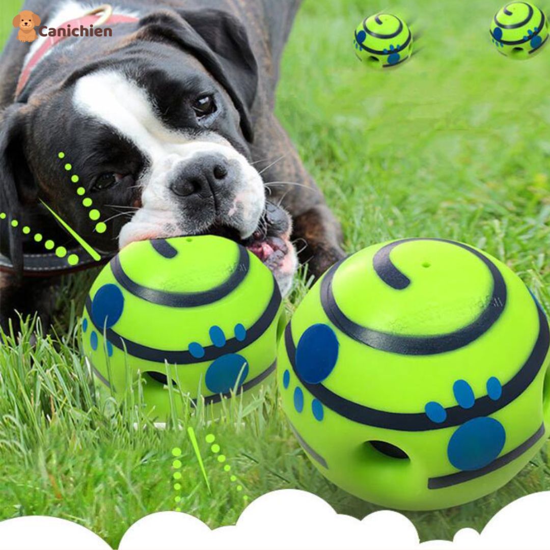 balle-pour-chien-resistante-durable