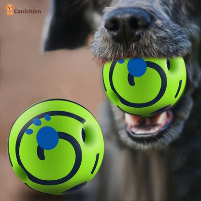 balle-pour-chien-resistante