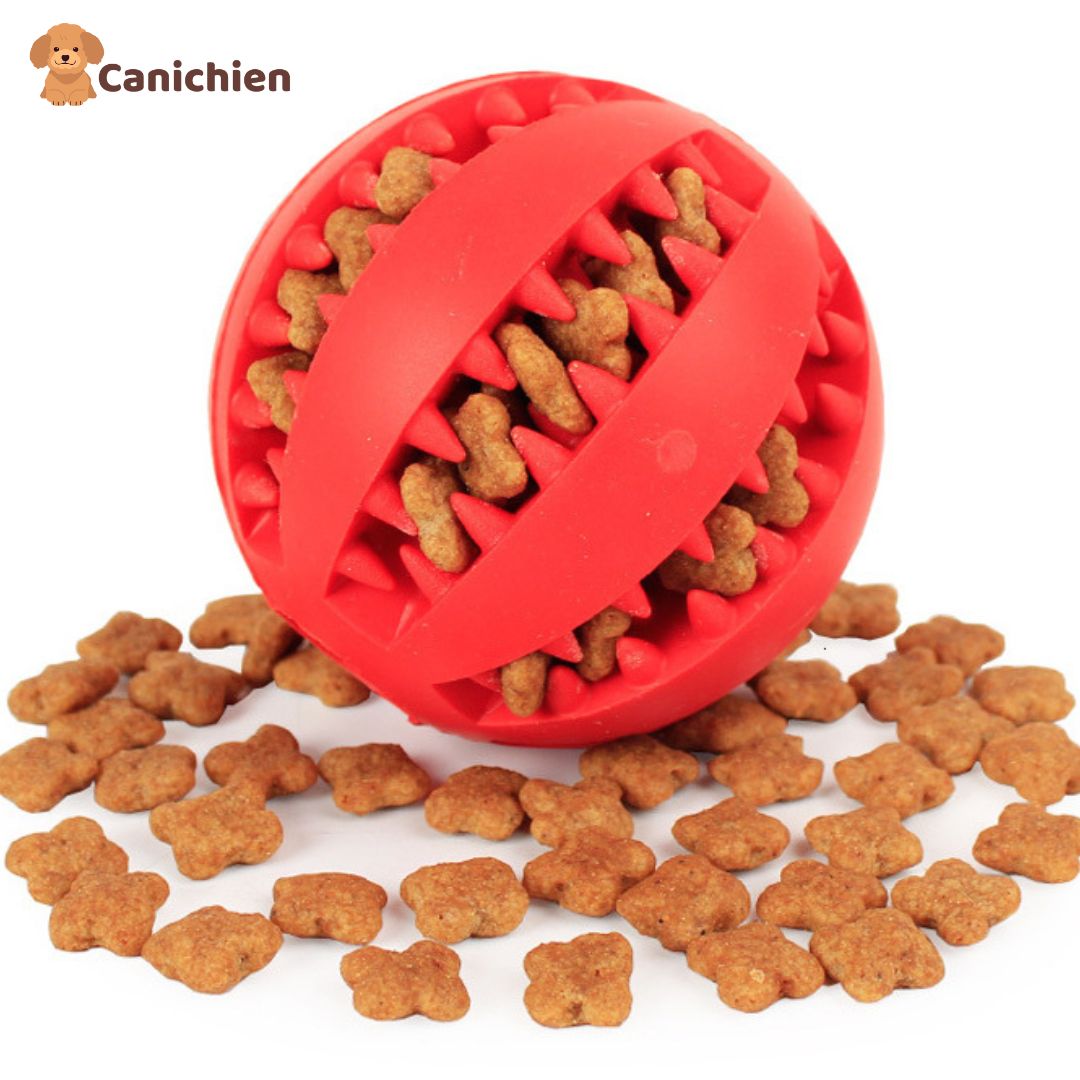 balle-pour-chien-rouge-2