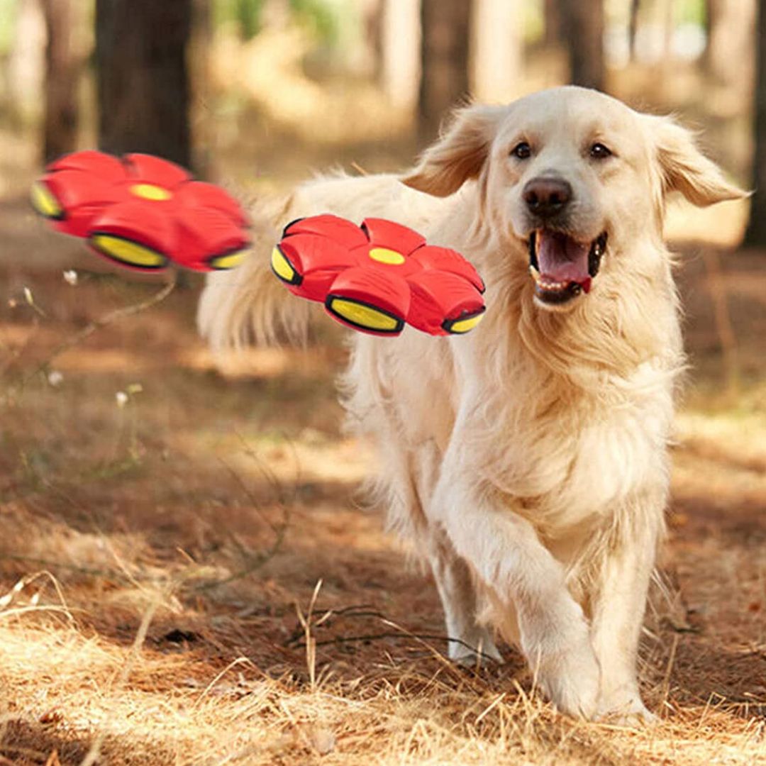 Balle pour chien | RelaxBall™