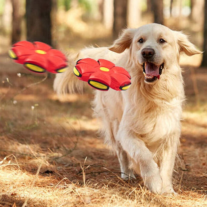 Balle pour chien | RelaxBall™