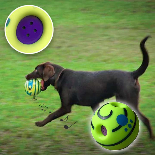 balle-pour-chien-solide