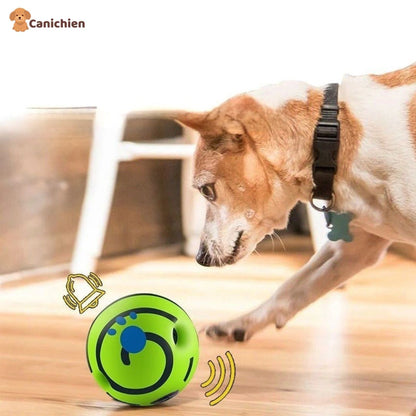 balle-pour-chien-sonore