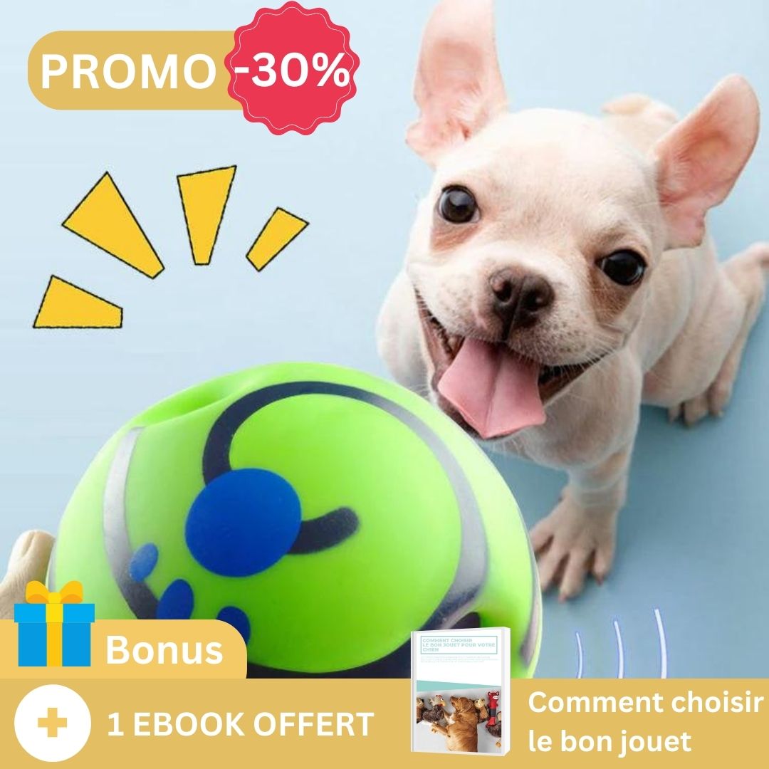 La balle pour chien | PupPlay™