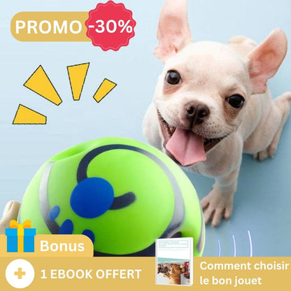 La balle pour chien | PupPlay™