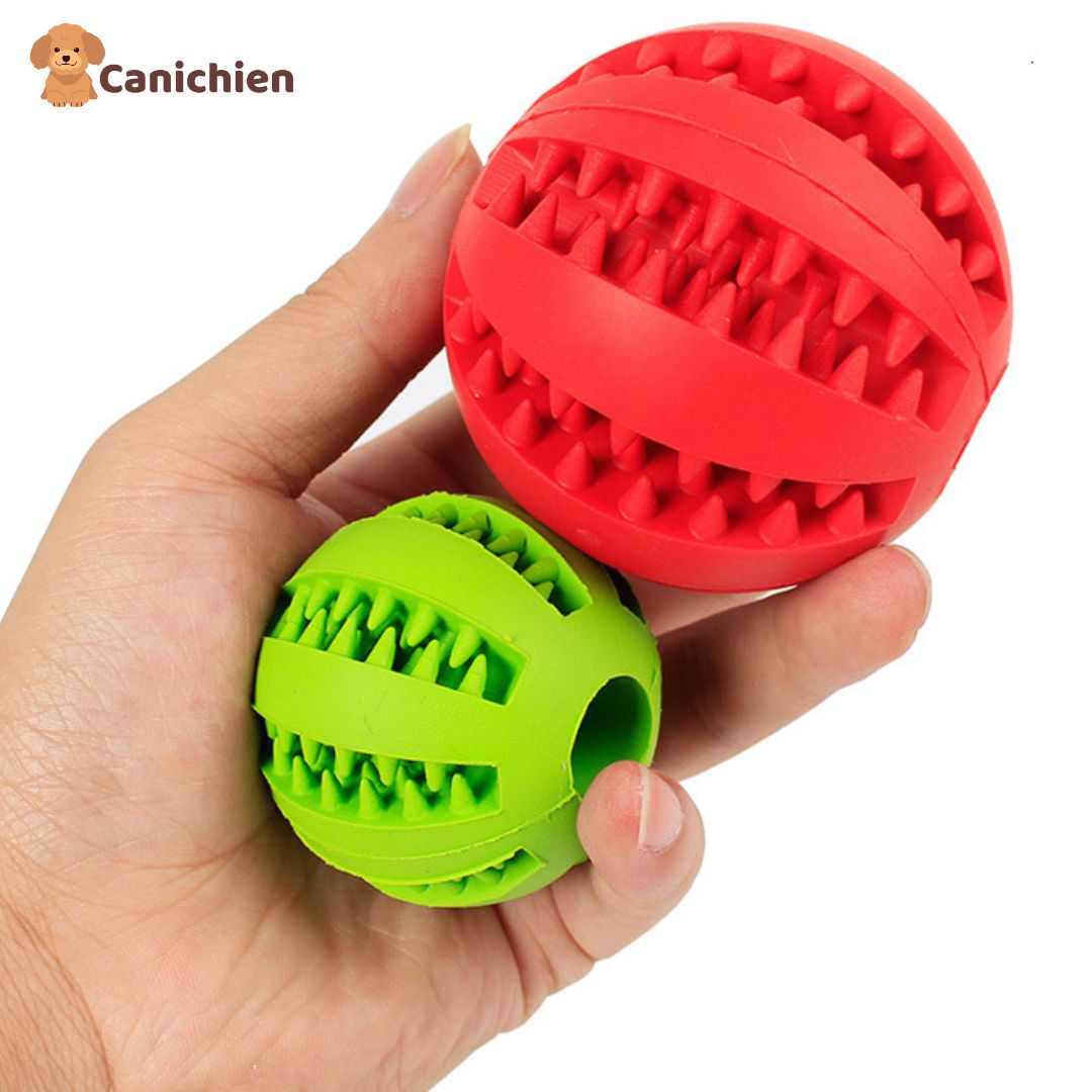 balle-pour-chien-taille