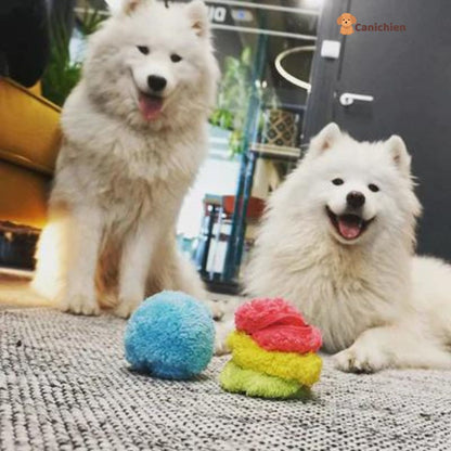 balle-pour-chien
