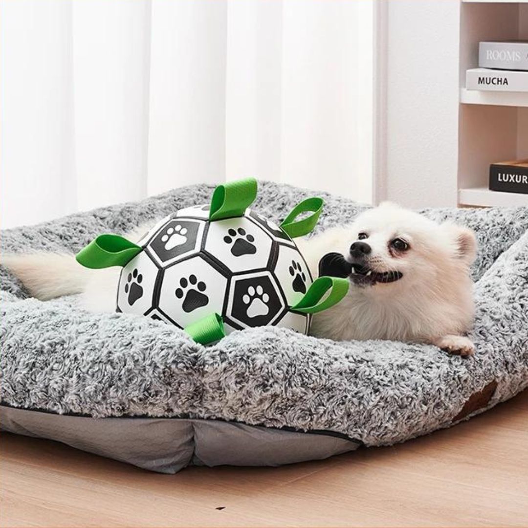 ballon-pour-chien-jouet-interieur