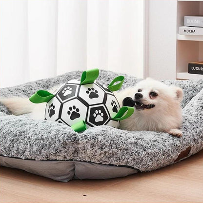 ballon-pour-chien-jouet-interieur