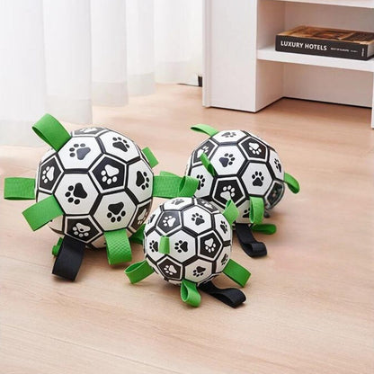 ballon-pour-chien-taille