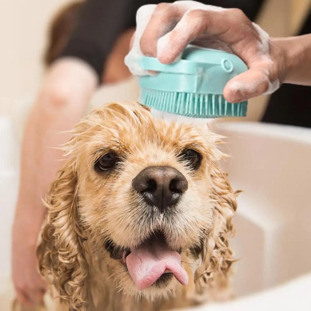 brosse-de-bain-pour-chien-vert-relax