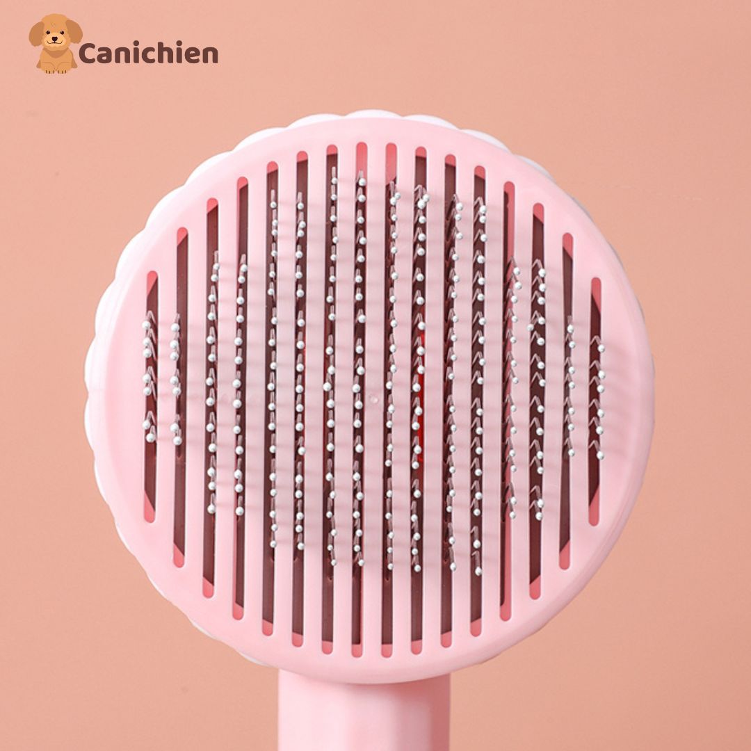 brosse-pour-chien-details