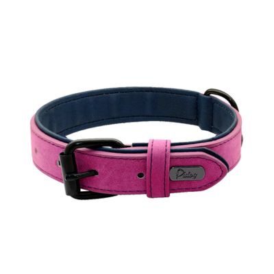 Collier Chien Cuir