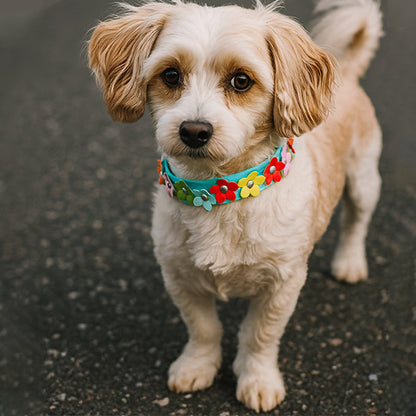 collier-chien-petit-chien-confortable