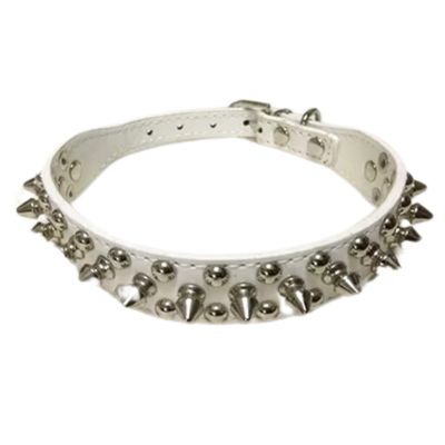 collier-cuir-chien-blanc