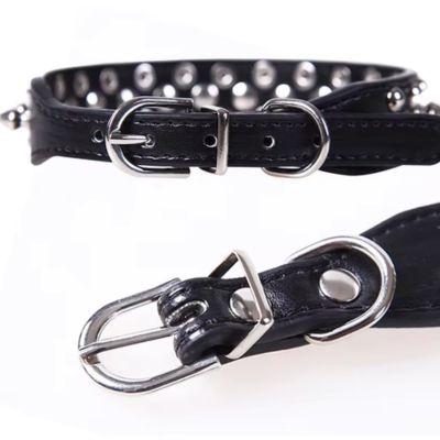 collier-cuir-chien-boucle-avant