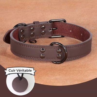 collier-cuir-chien-brun-grand