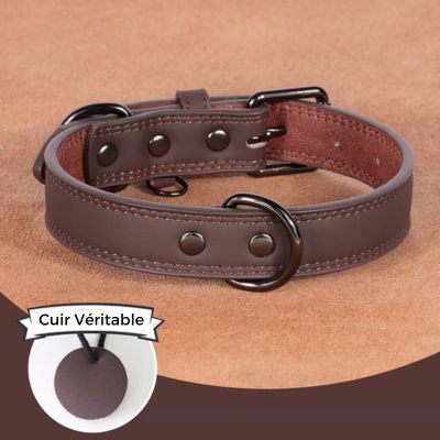 collier-cuir-chien-brun-petit