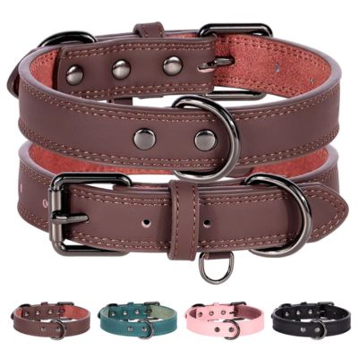 collier-cuir-chien-couleur