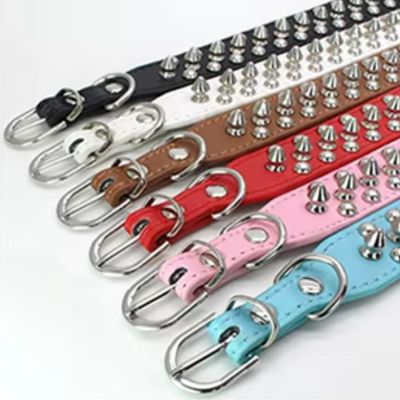 collier-cuir-chien-couleur